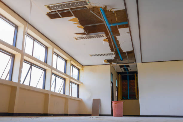 Best Flood damage cleanup  in Royston, GA