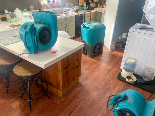 Best Water damage restoration near me  in Royston, GA
