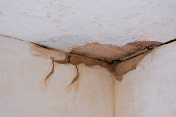 Best 24/7 water damage repair  in Royston, GA