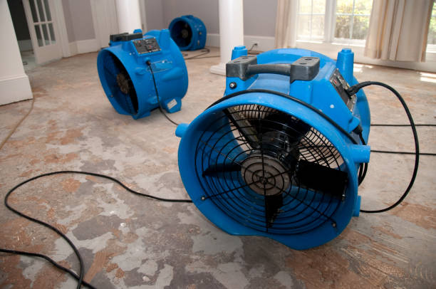 Best 24-hour water damage restoration  in Royston, GA