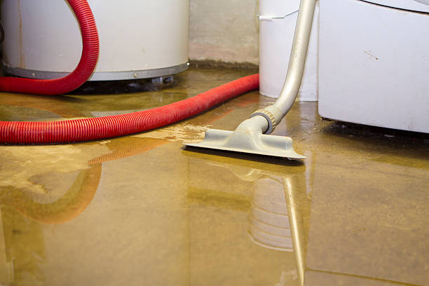 Trusted GA Water damage restoration Experts