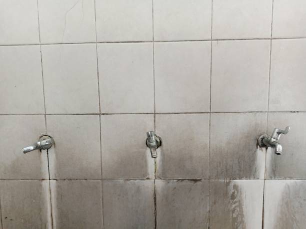 Best Local water damage restoration  in Royston, GA