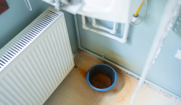 Best Water damage restoration near me  in Royston, GA