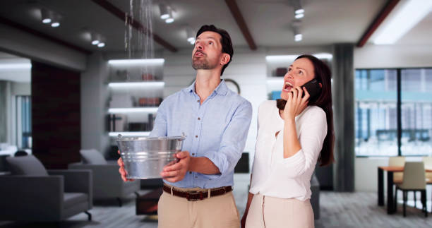 Best Water damage restoration near me  in Royston, GA