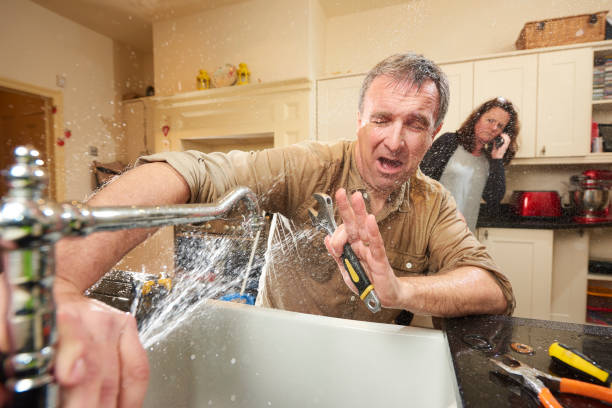 Best Water damage cleanup near me  in Royston, GA